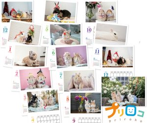 プリロコ2023年オリジナル中綴じカレンダーうさぎ