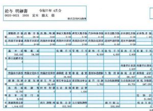 給与計算システムPCA給与明細書