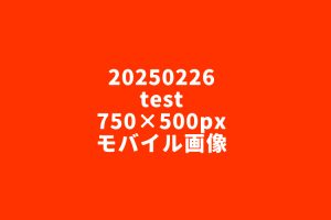 20250226test03